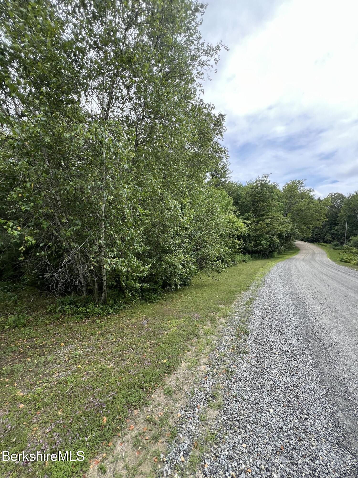 218-179-1- Bonny Rigg Hill Road Becket, MA 01223 - Photo 4 of 8 a view of outdoor space and yard