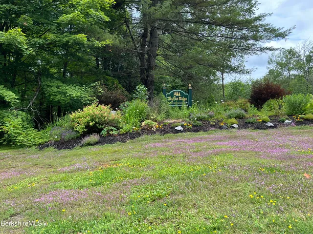 a view of a lush green forest next to a lake