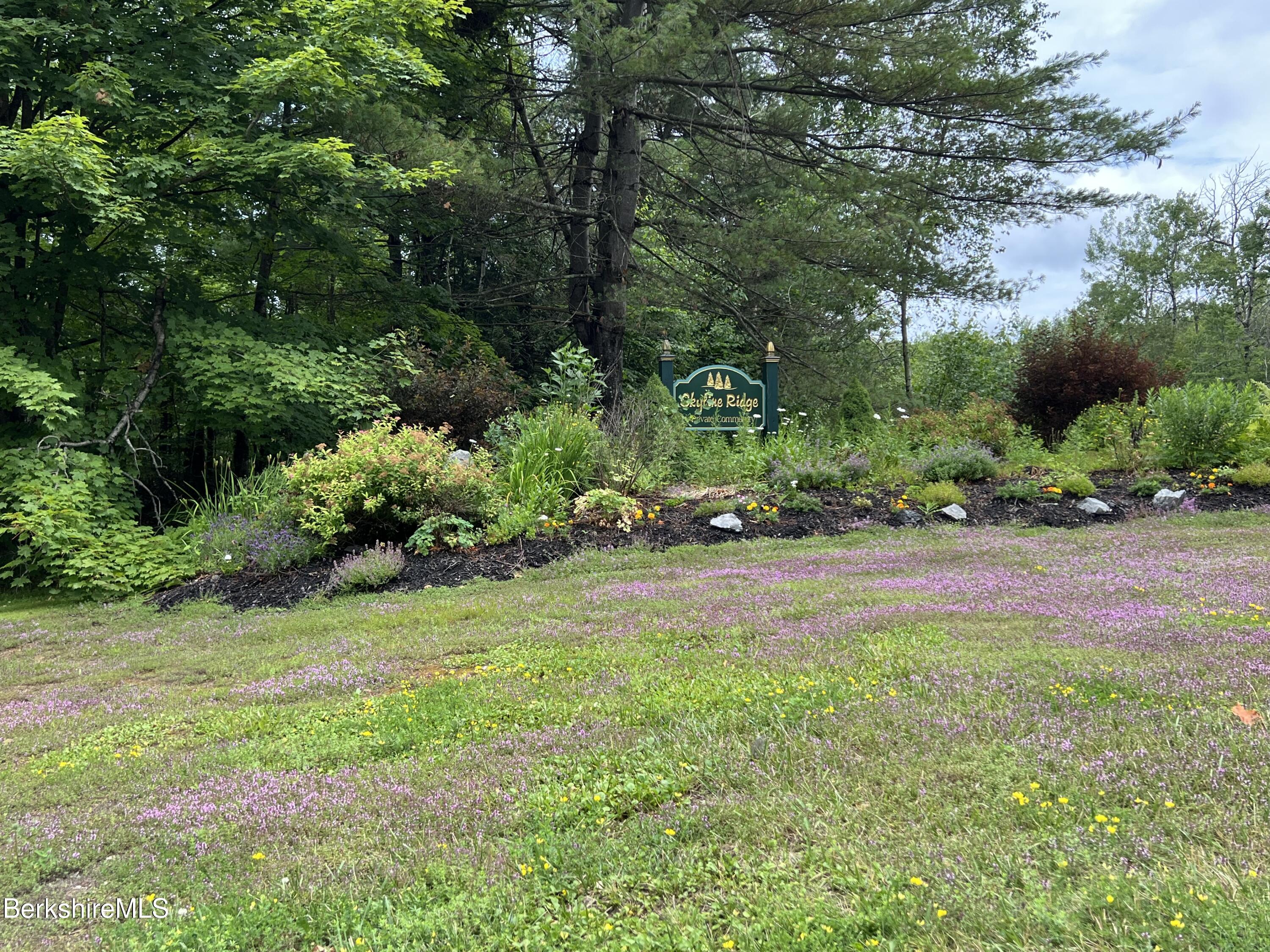 218-179-1- Bonny Rigg Hill Road Becket, MA 01223 - Photo 5 of 8 a view of a yard with plants and trees