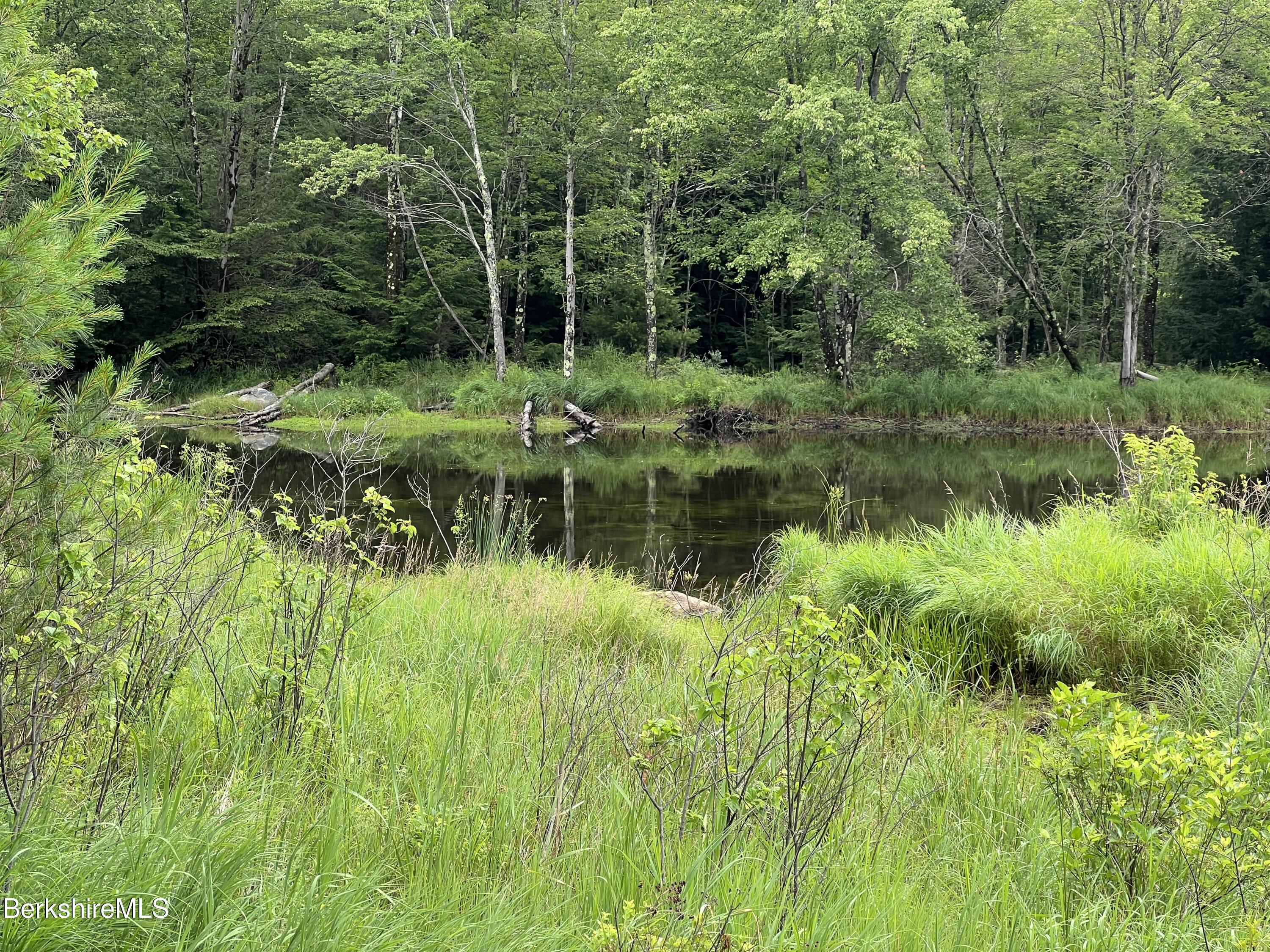 218-179-1- Bonny Rigg Hill Road Becket, MA 01223 - Photo 6 of 8 a view of a lush green forest next to a lake