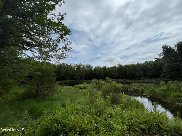 a view of a lake with a garden