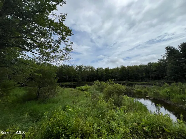 a view of a lake with a garden