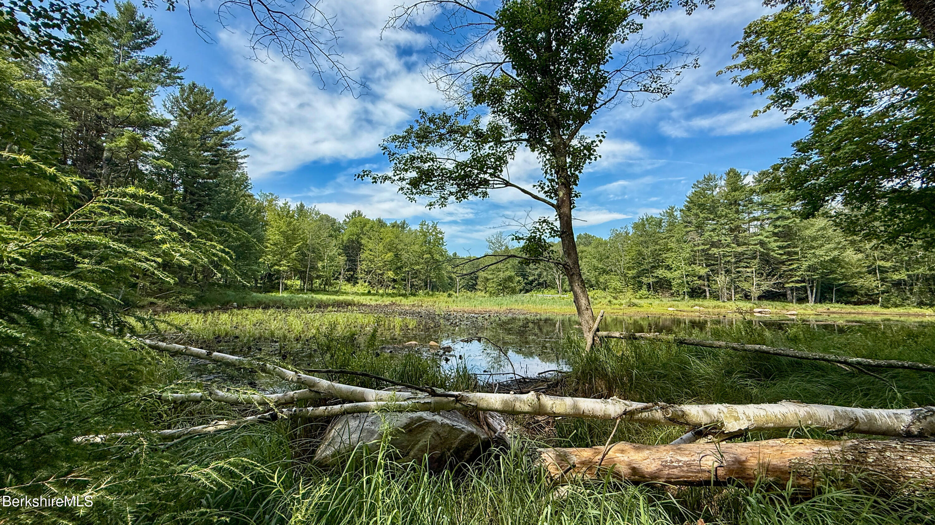 218-179-1- Bonny Rigg Hill Road Becket, MA 01223 - Photo 8 of 8 a view of a lake with a garden