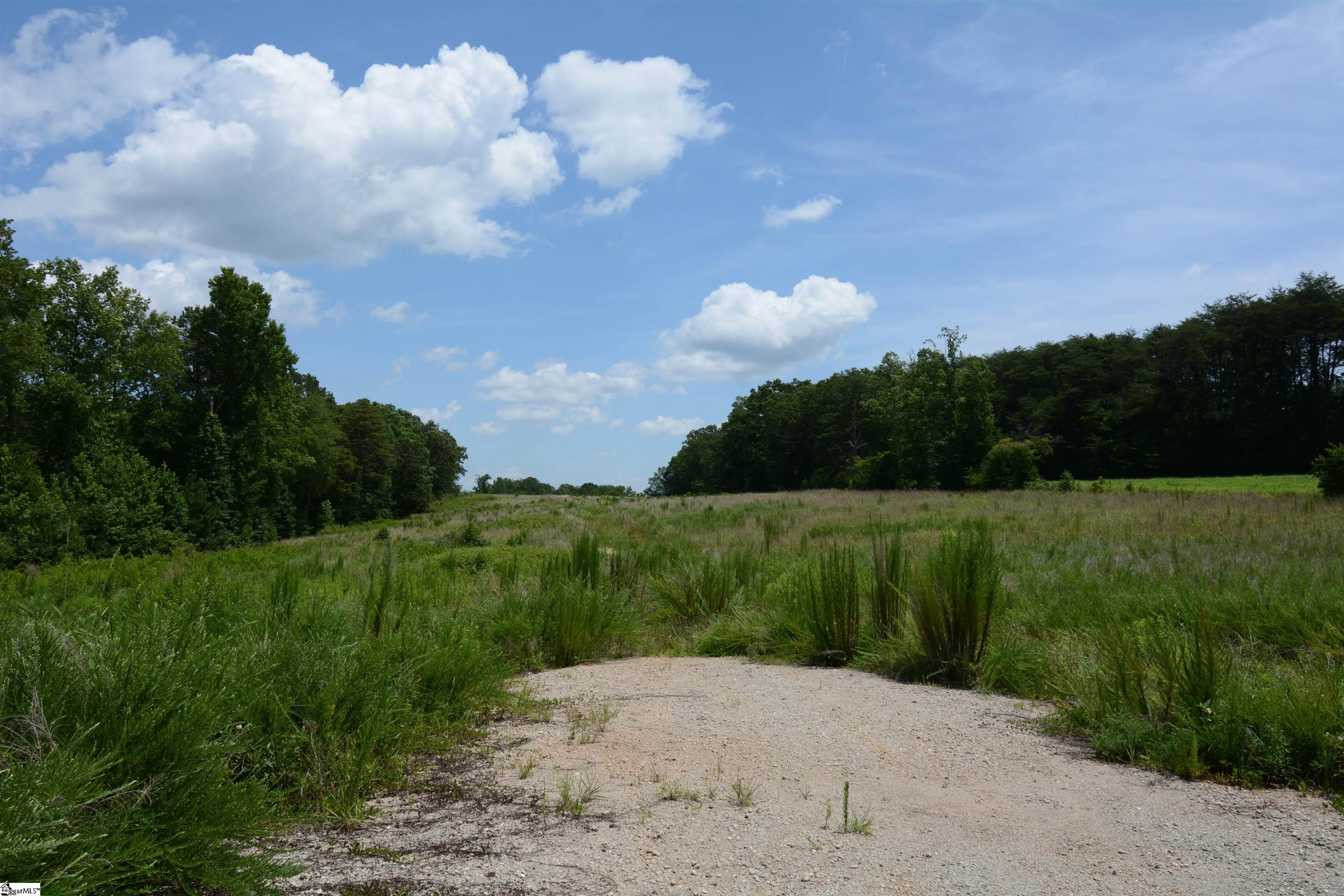 0 Line Road Greer, SC 29651 - Photo 2 of 7