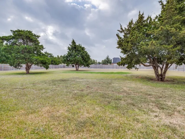 a view of a water fountain and a big tree
