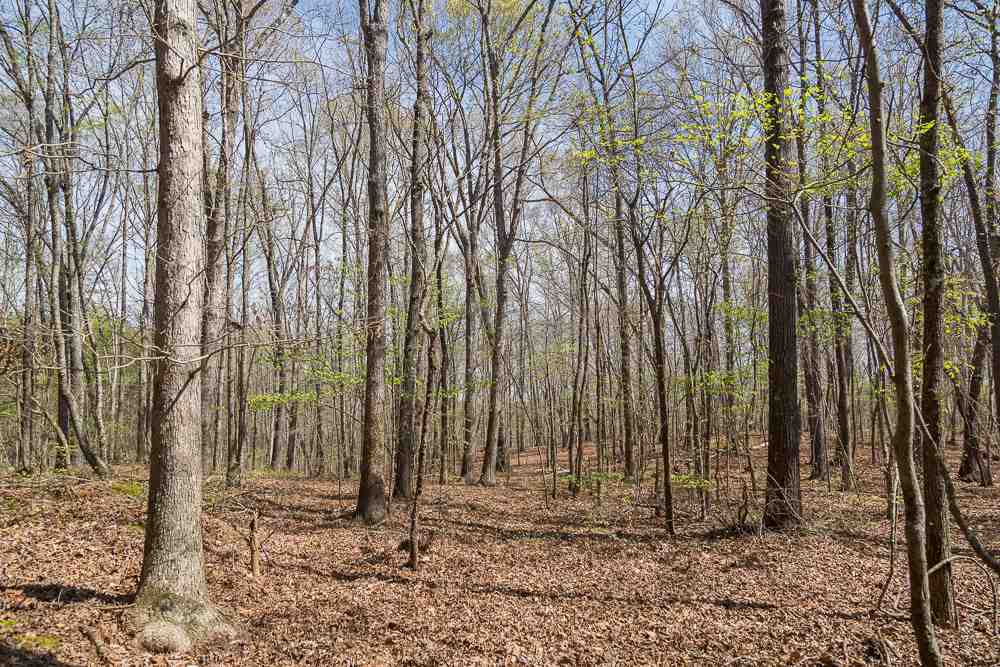 Simms School Road Central, SC 29630 - Photo 1 of 10