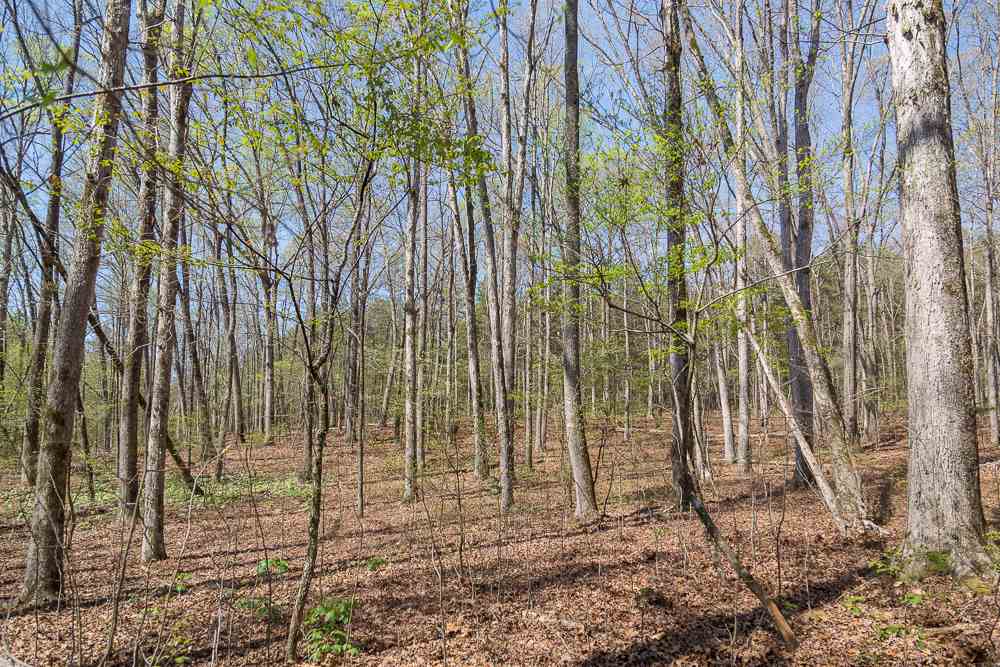 Simms School Road Central, SC 29630 - Photo 3 of 10