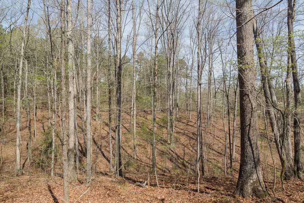 Simms School Road Central, SC 29630 - Photo 5 of 10