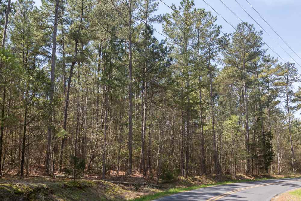 Simms School Road Central, SC 29630 - Photo 6 of 10