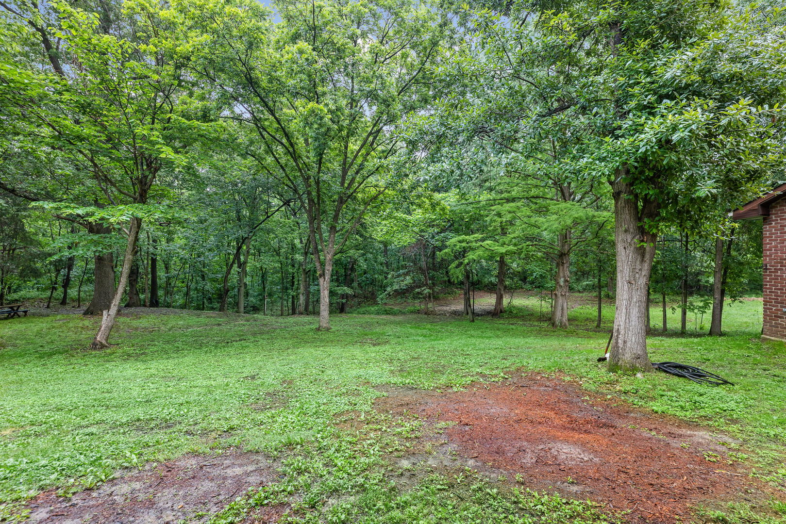 414 Gilliland Road Walnut Hill, IL 62893 - Photo 47 of 50