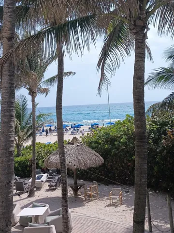 a view of ocean view with palm trees