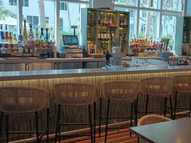 a view of a yard with plants and trees