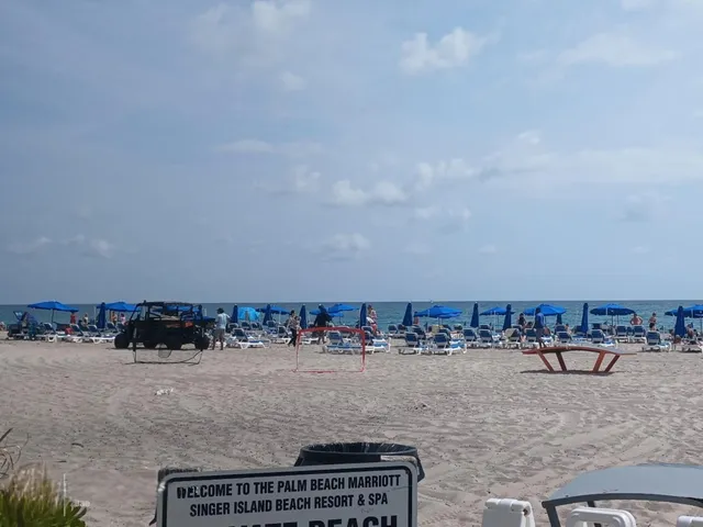 a view of a roof with a tree