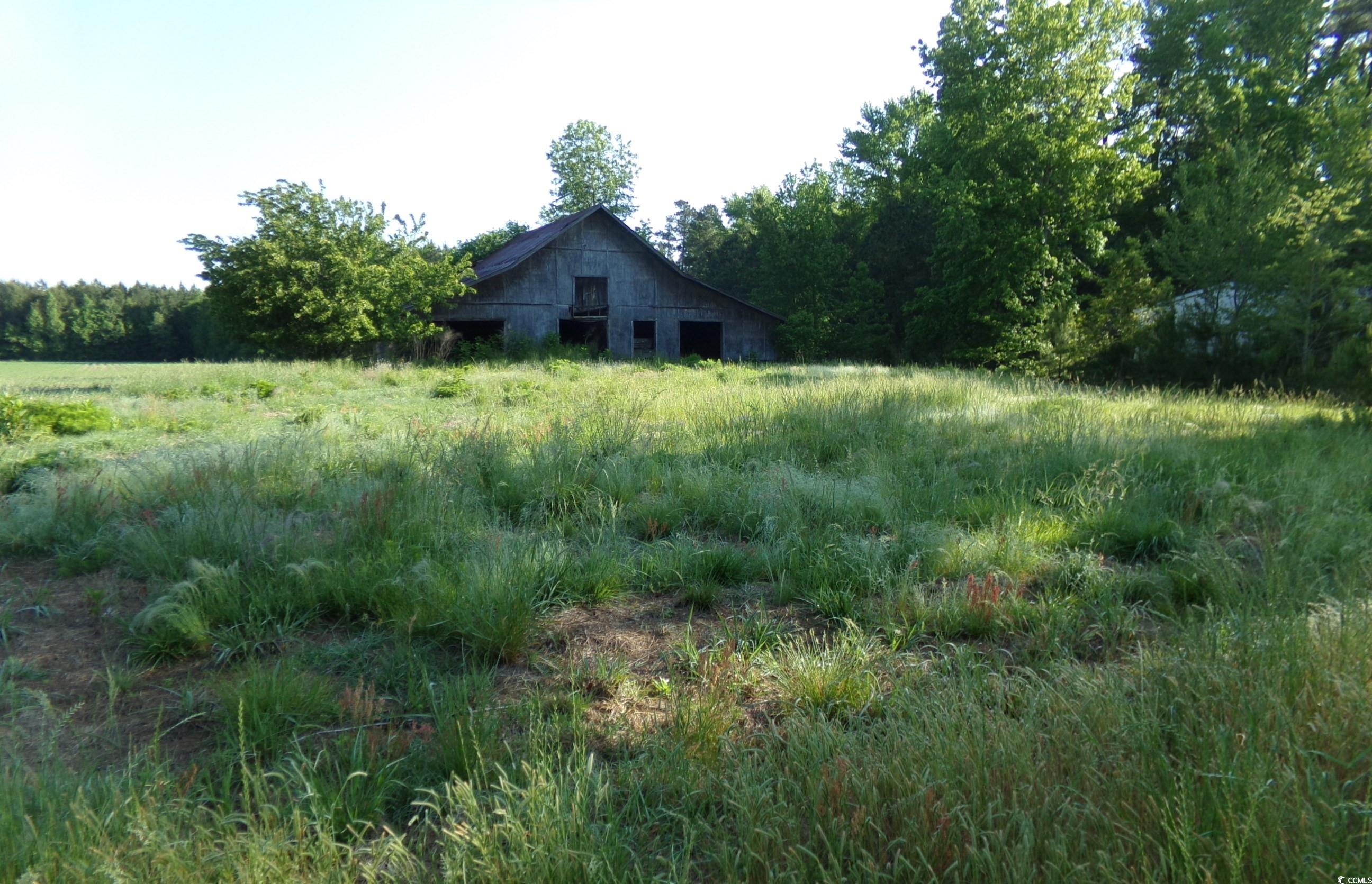 5369 Hamp's Road Nichols, SC 29581 - Photo 3 of 8 Gallery Image 3