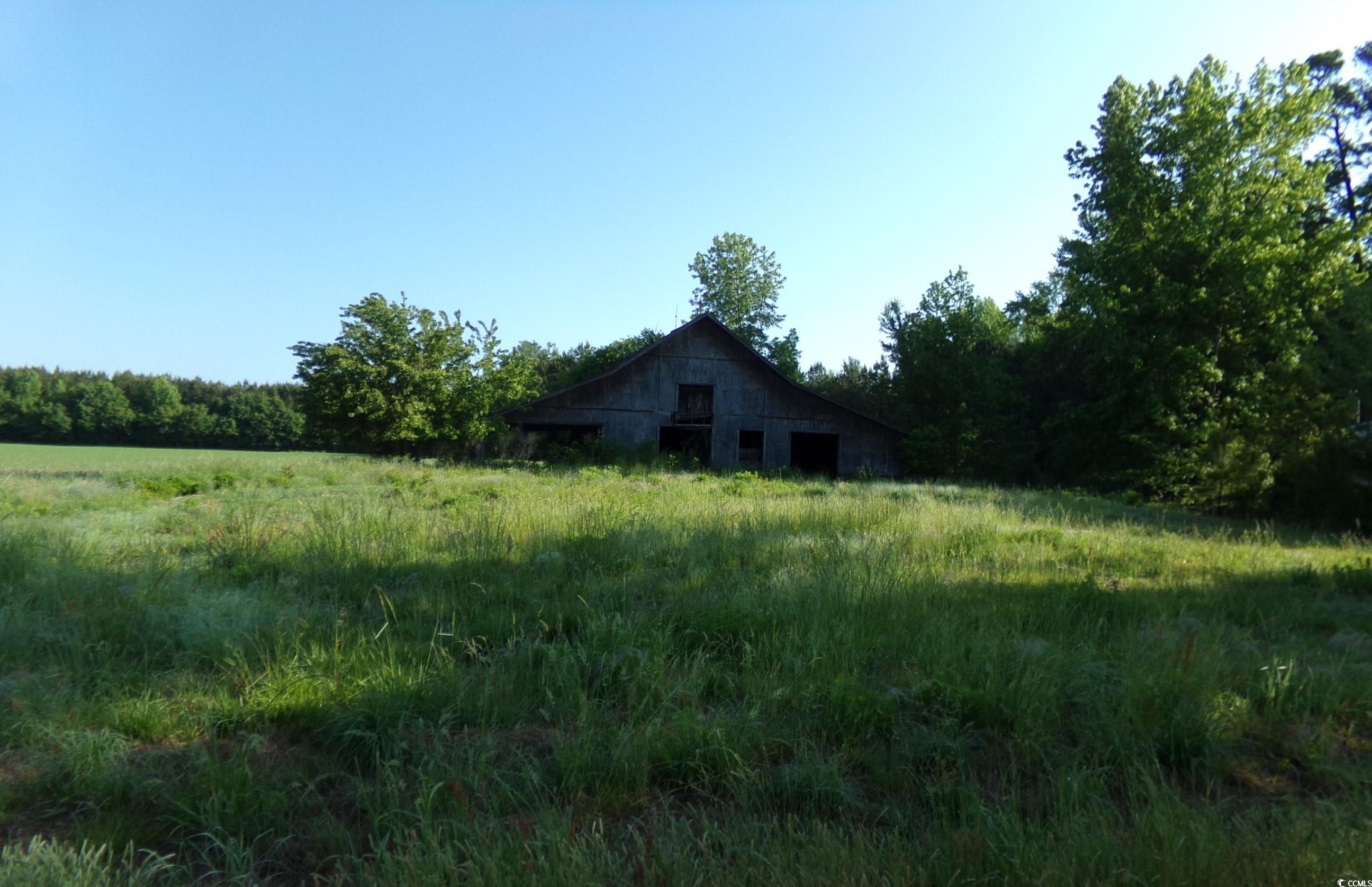 5369 Hamp's Road Nichols, SC 29581 - Photo 8 of 8 Gallery Image 8