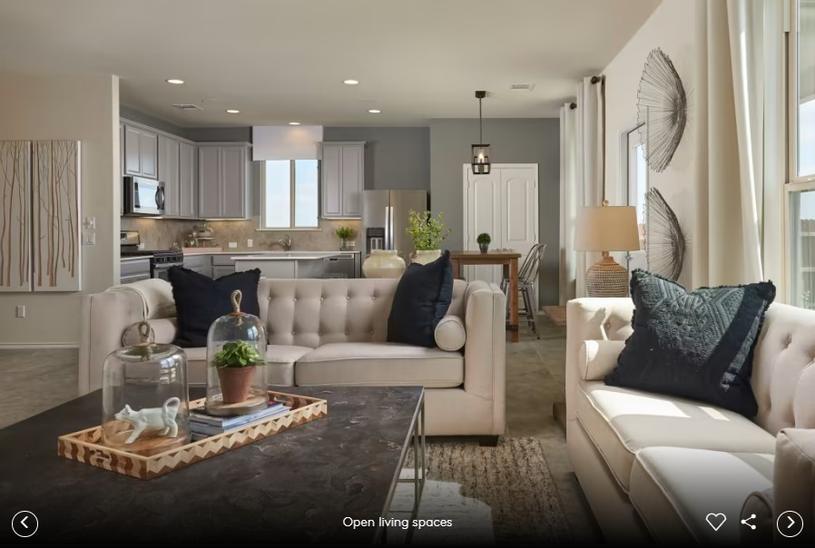 298 Begonia Street Buda, TX 78610 - Photo 6 of 12 a living room with fireplace furniture and a large window