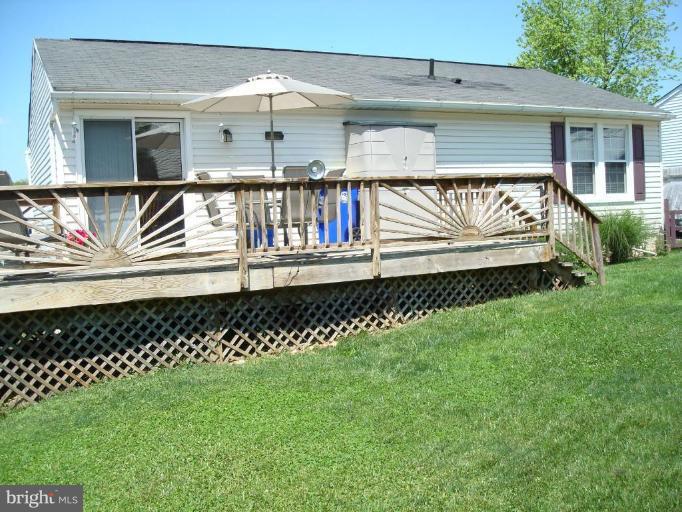 Back yard