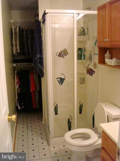 111 Sycamore Road Mount Airy, MD 21771 - Photo 17 of 20 Master Bath