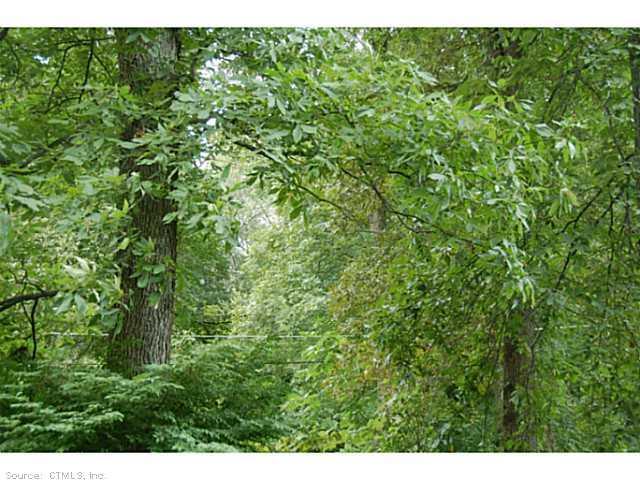 Lot 3 Mulberry Road Mansfield Center, CT 06250 - Photo 1 of 1 a view of a lush green forest