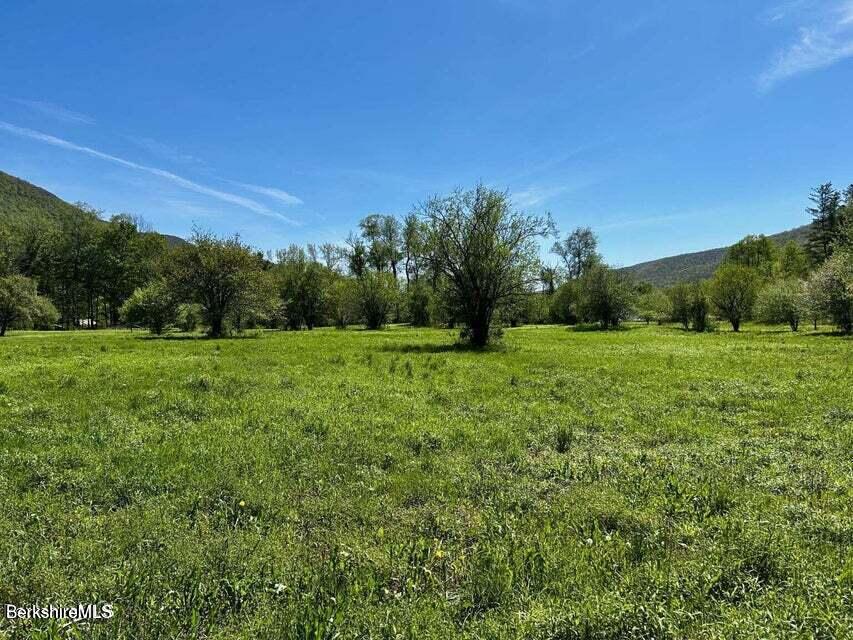 Lot 4 Hancock Road Williamstown, MA 01267 - Photo 6 of 13 Image 6