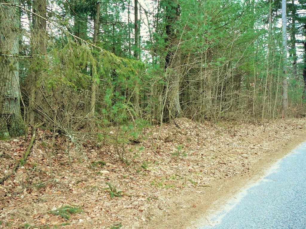Lot B Robinson Road Palmer, MA 01069 - Photo 3 of 5 Gallery Image 3