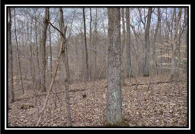 500 Raysville Road Jackson, OH 45640 - Photo 17 of 34 image017