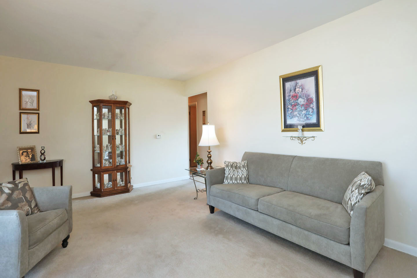 645 South Ardmore Avenue Addison, IL 60101 - Photo 6 of 28 a living room with furniture and a couch