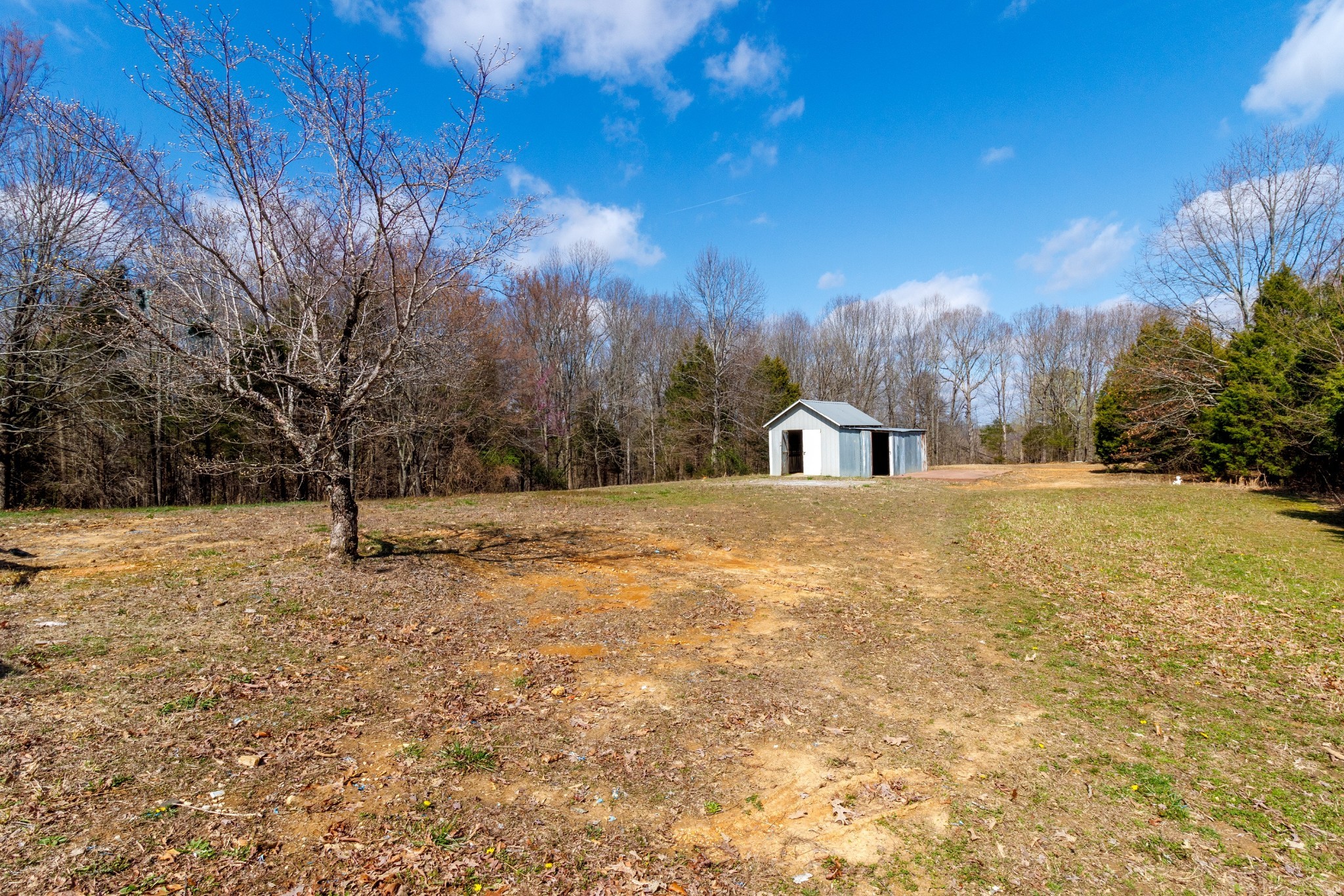 1835 Jim Kim Road Palmyra, TN 37142 - Photo 25 of 36 a house view with large trees