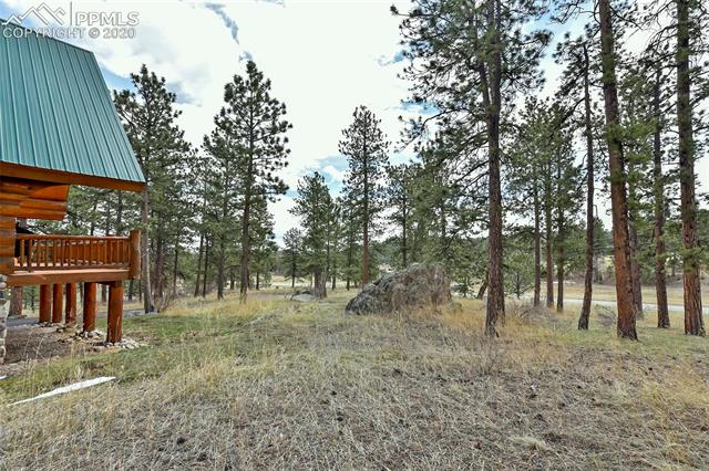 79 Buggy Whip Road Bailey, CO 80421 - Photo 40 of 50 Gallery Image 40