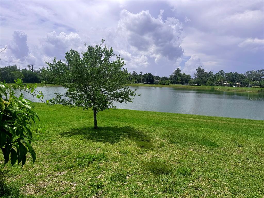 5082 Inshore Landing Drive Apollo Beach, FL 33572 - Photo 40 of 48 a view of a lake with a city in the back