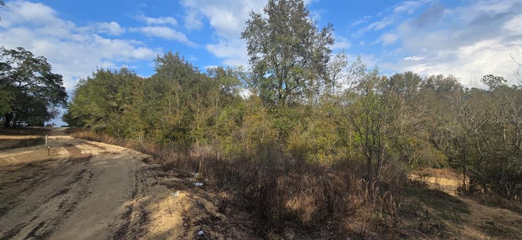 Southeast 252nd Avenue Umatilla, FL 32784 - Photo 2 of 2 a view of a yard with trees