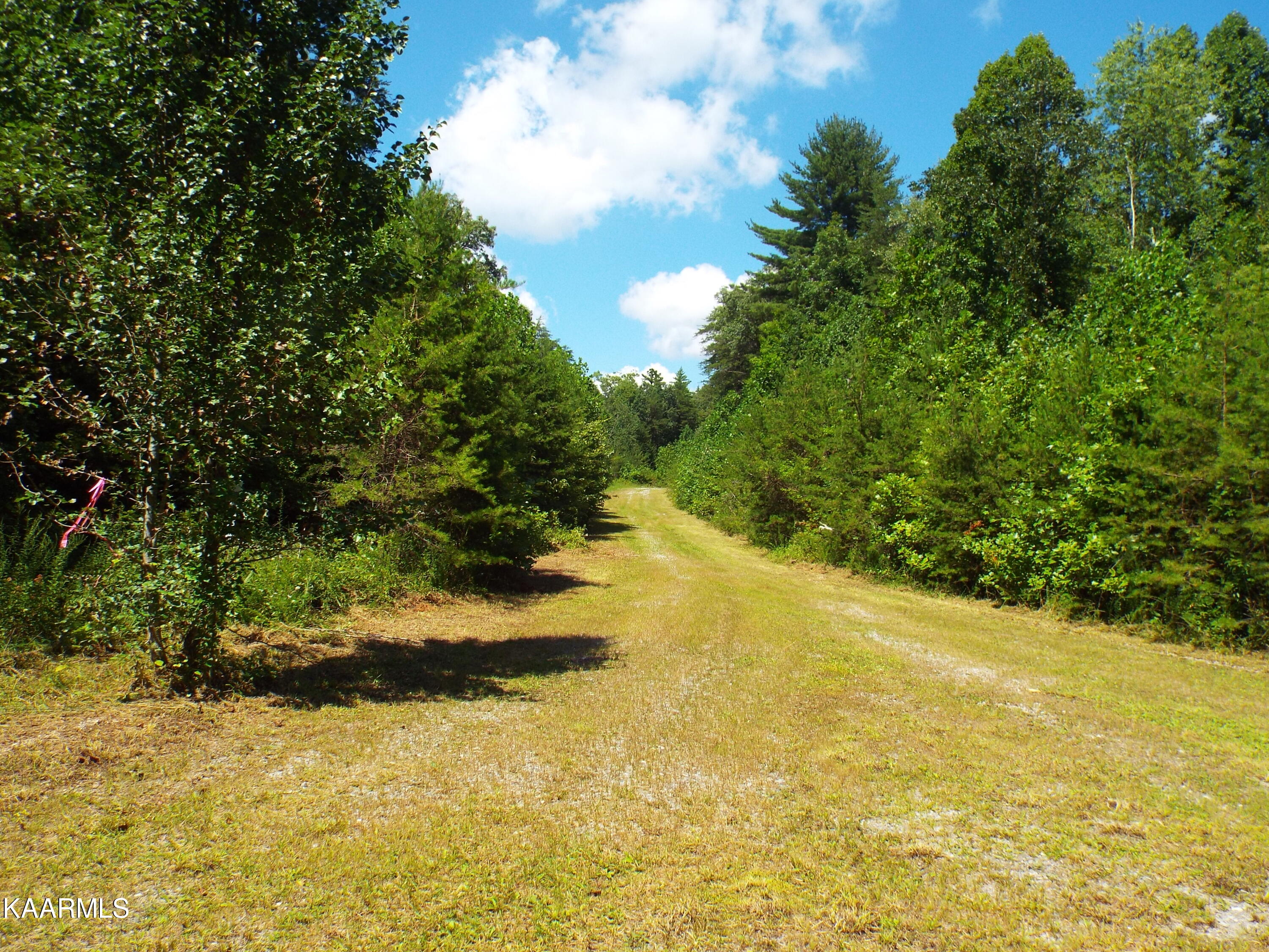 41-42 George Drive Deer Lodge, TN 37726 - Photo 5 of 10 DSCF0093