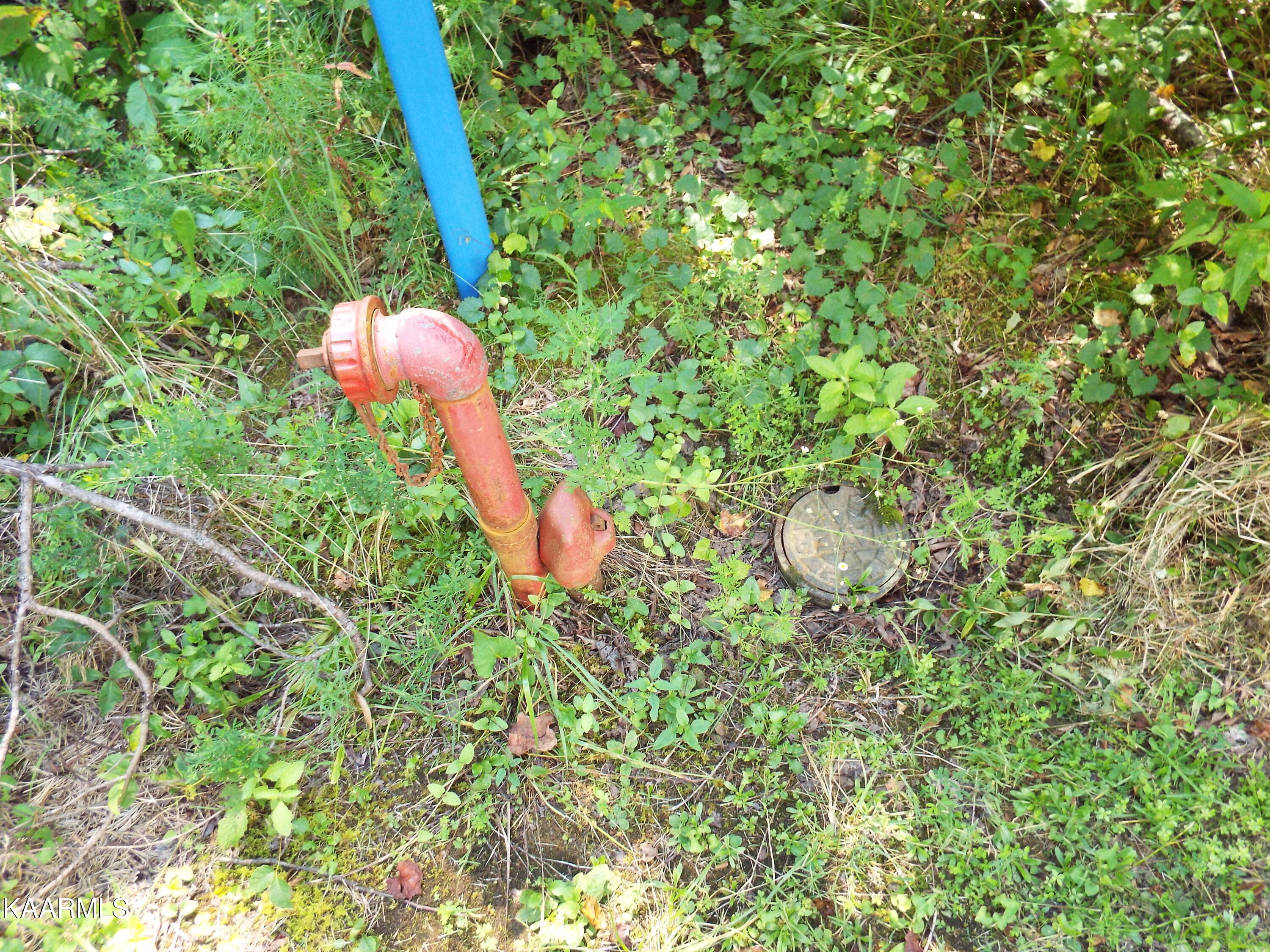 41-42 George Drive Deer Lodge, TN 37726 - Photo 6 of 10 DSCF0087