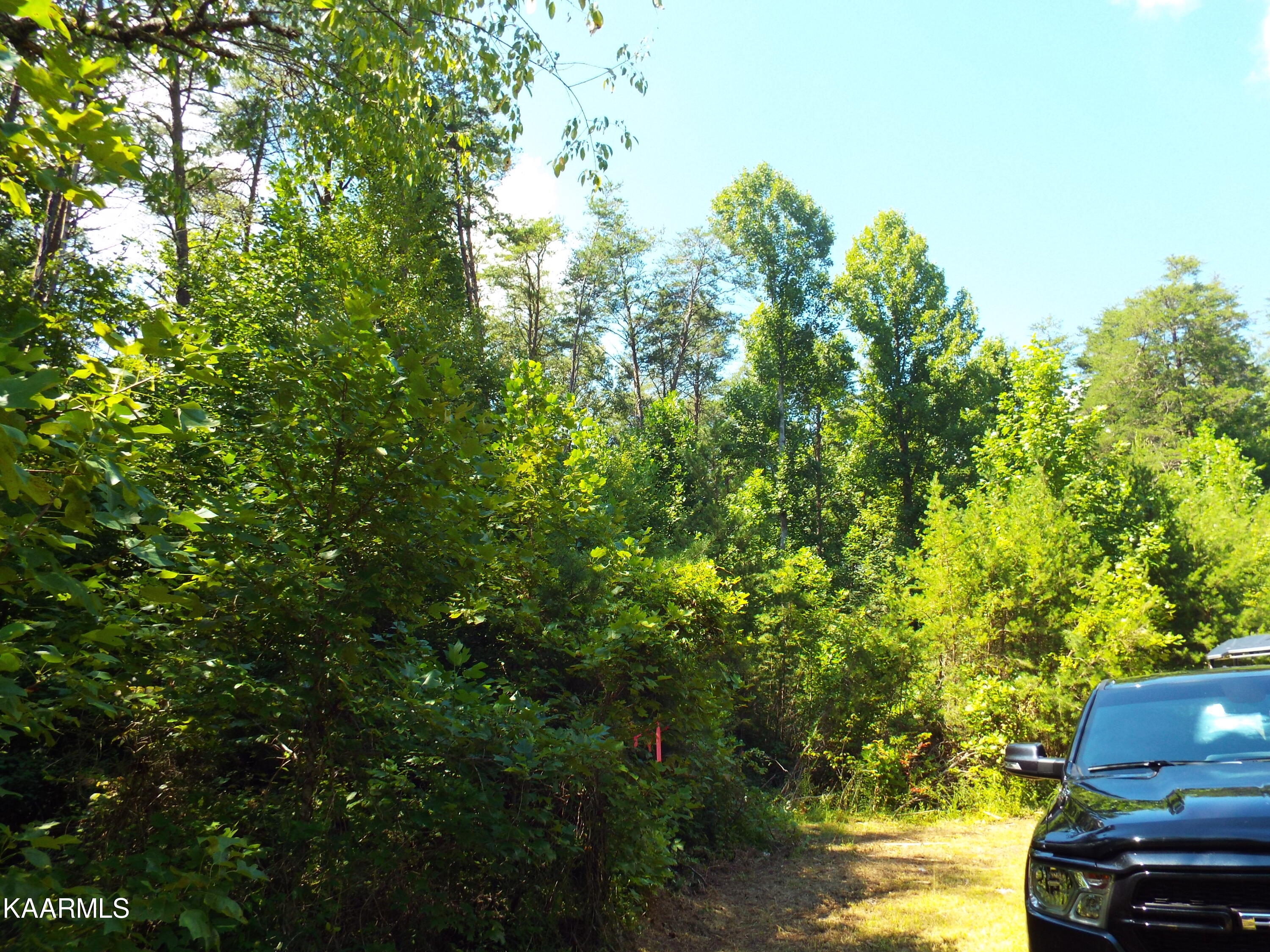 41-42 George Drive Deer Lodge, TN 37726 - Photo 7 of 10 DSCF0088