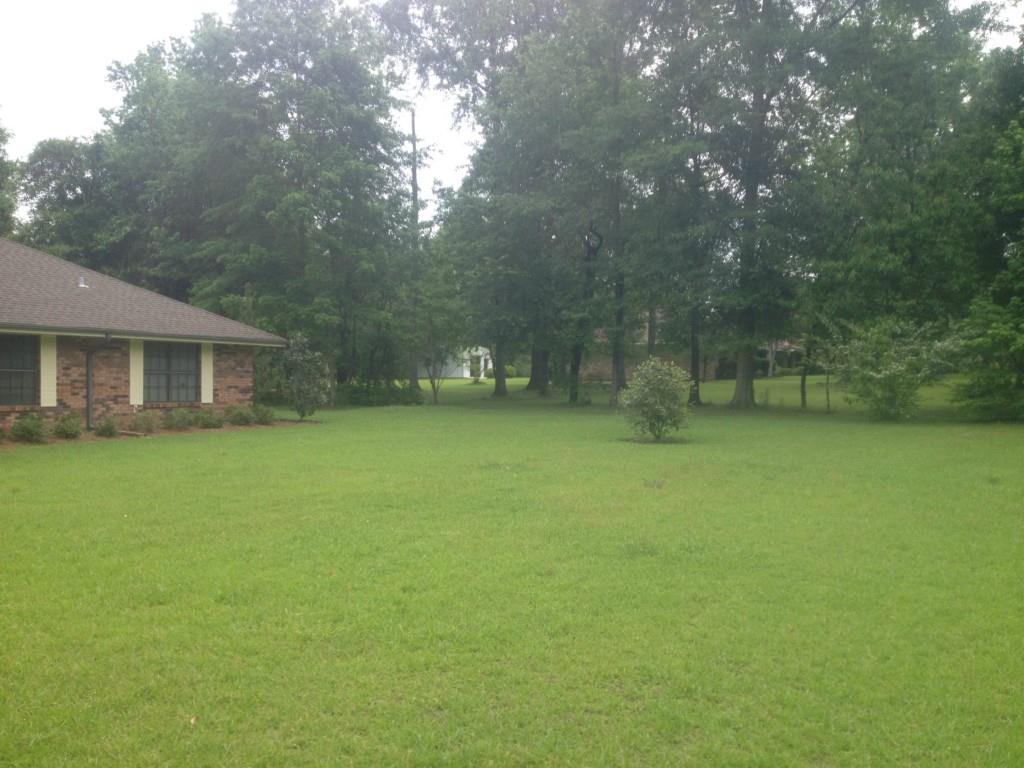244 Oak Road Bogalusa, LA 70427 - Photo 4 of 20 Gallery Image 4