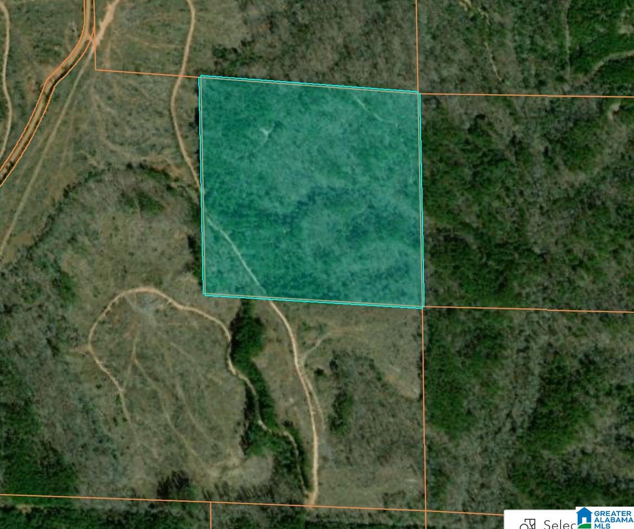 0 County Road 93 Jones, AL 36749 - Photo 1 of 3