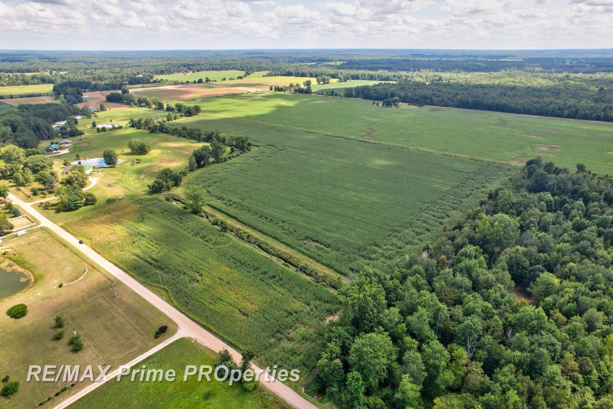 0 Cooklin Road Cass City, MI 48726 - Photo 3 of 32 Gallery Image 3