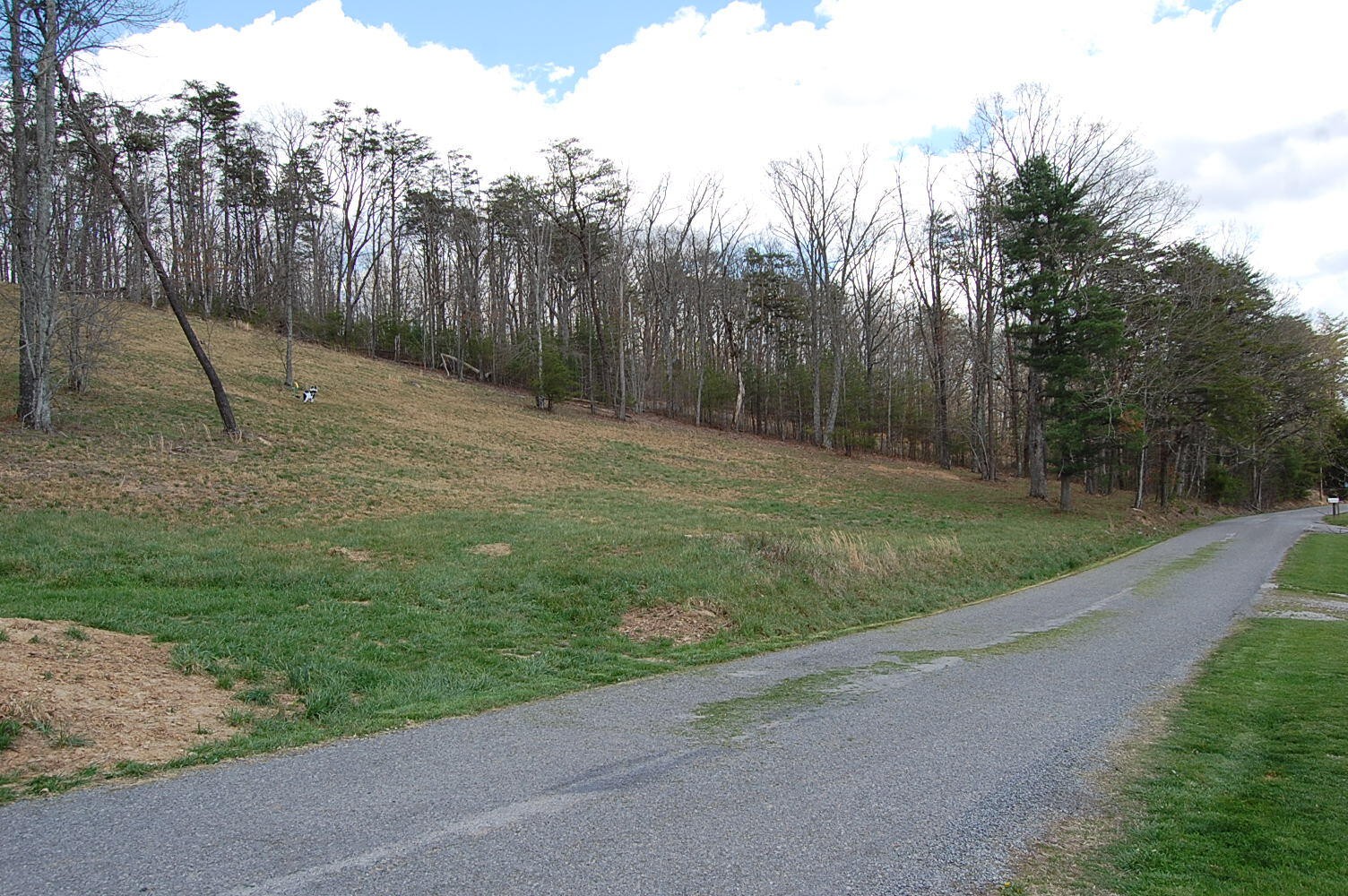 0 Bennie Camp Road Dunlap, TN 37327 - Photo 5 of 32 Gallery Image 5
