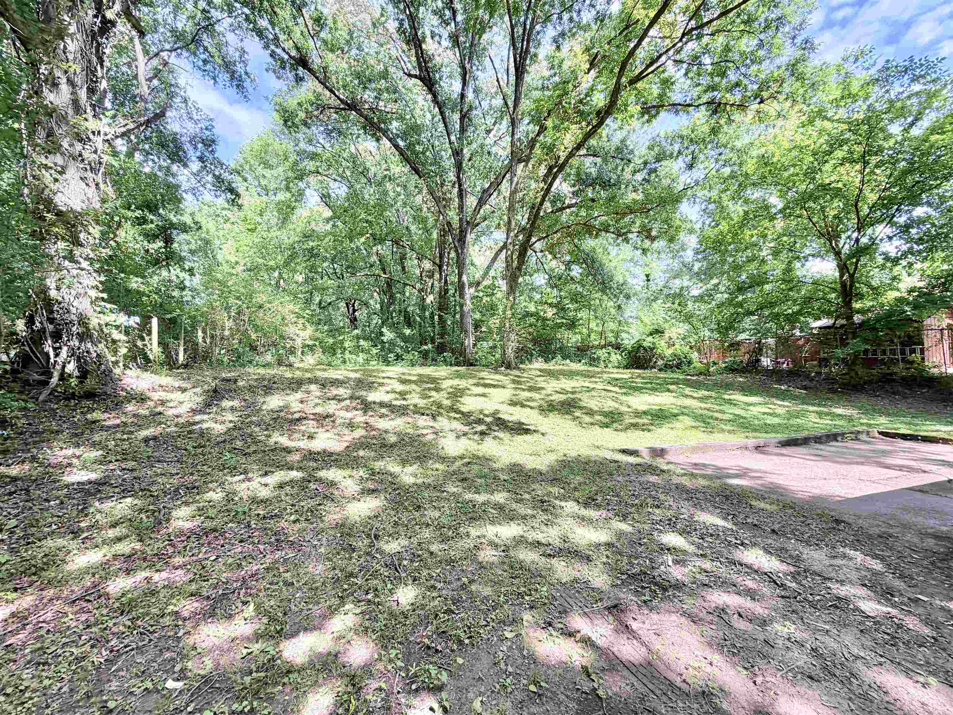 4278 Auburn Road Memphis, TN 38116 - Photo 26 of 28 Expansive lot featuring mature trees, a partially cleared grassy area, and a paved surface