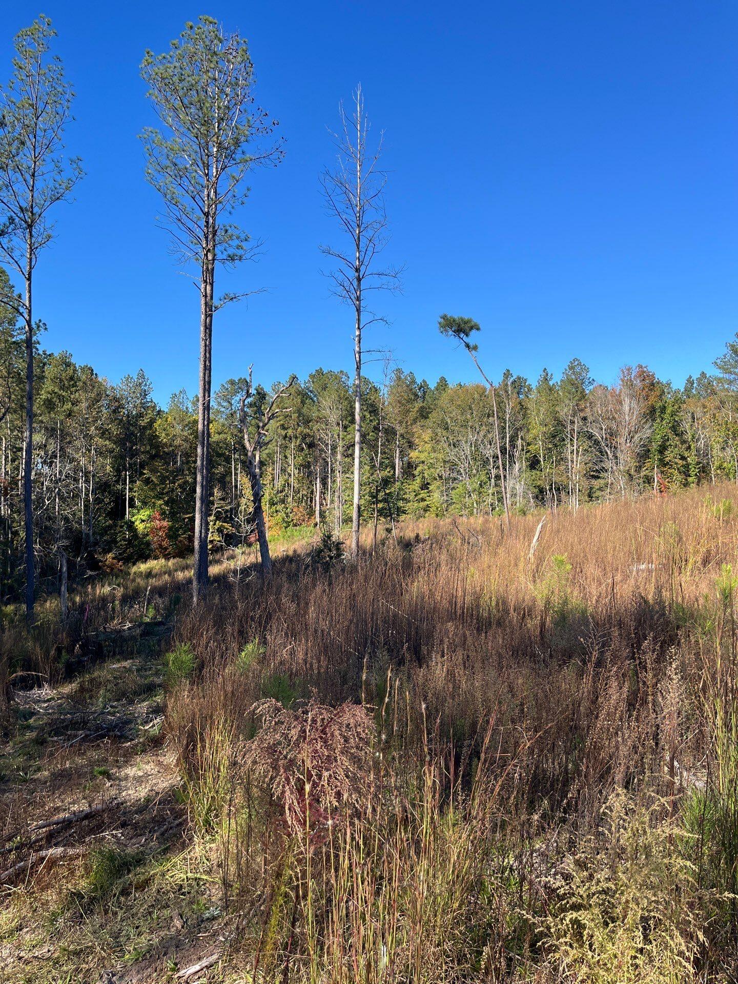 2 Dawkins Road, Unit DRF 2 Pacolet, SC 29372 - Photo 2 of 9 8-Oct 20 2025 07_37pm-4ERM