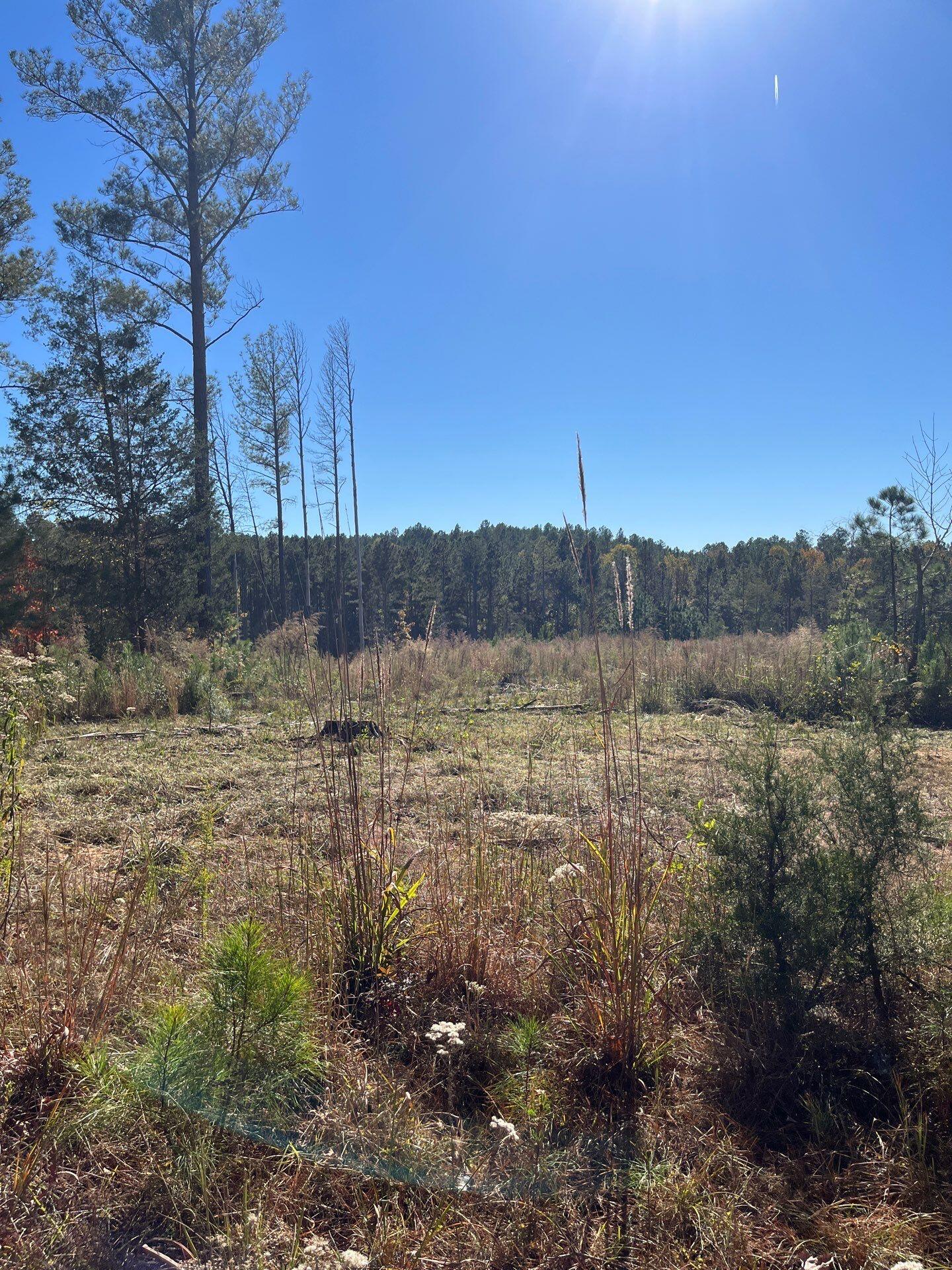 2 Dawkins Road, Unit DRF 2 Pacolet, SC 29372 - Photo 3 of 9 7-Oct 20 2025 07_18pm-eSnw