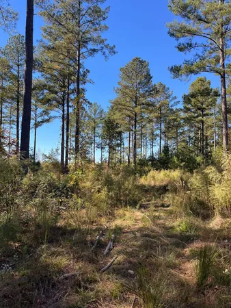 $129,900 | 2 Dawkins Road, Unit DRF 2, Pacolet, SC 29372