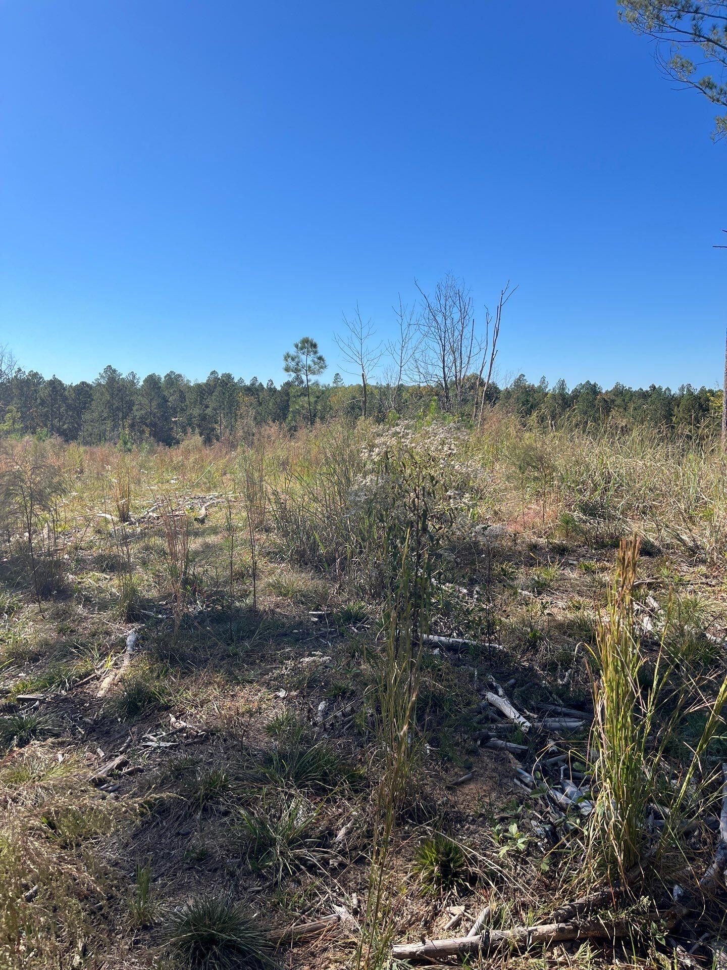 2 Dawkins Road, Unit DRF 2 Pacolet, SC 29372 - Photo 9 of 9 1-Oct 20 2025 06_48pm-Jxdx