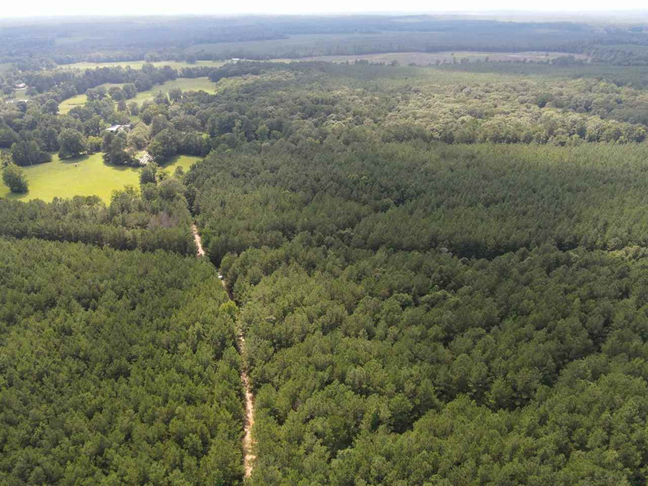 0 Rials Creek Road Georgetown, MS 39078 - Photo 39 of 40 Photo 39