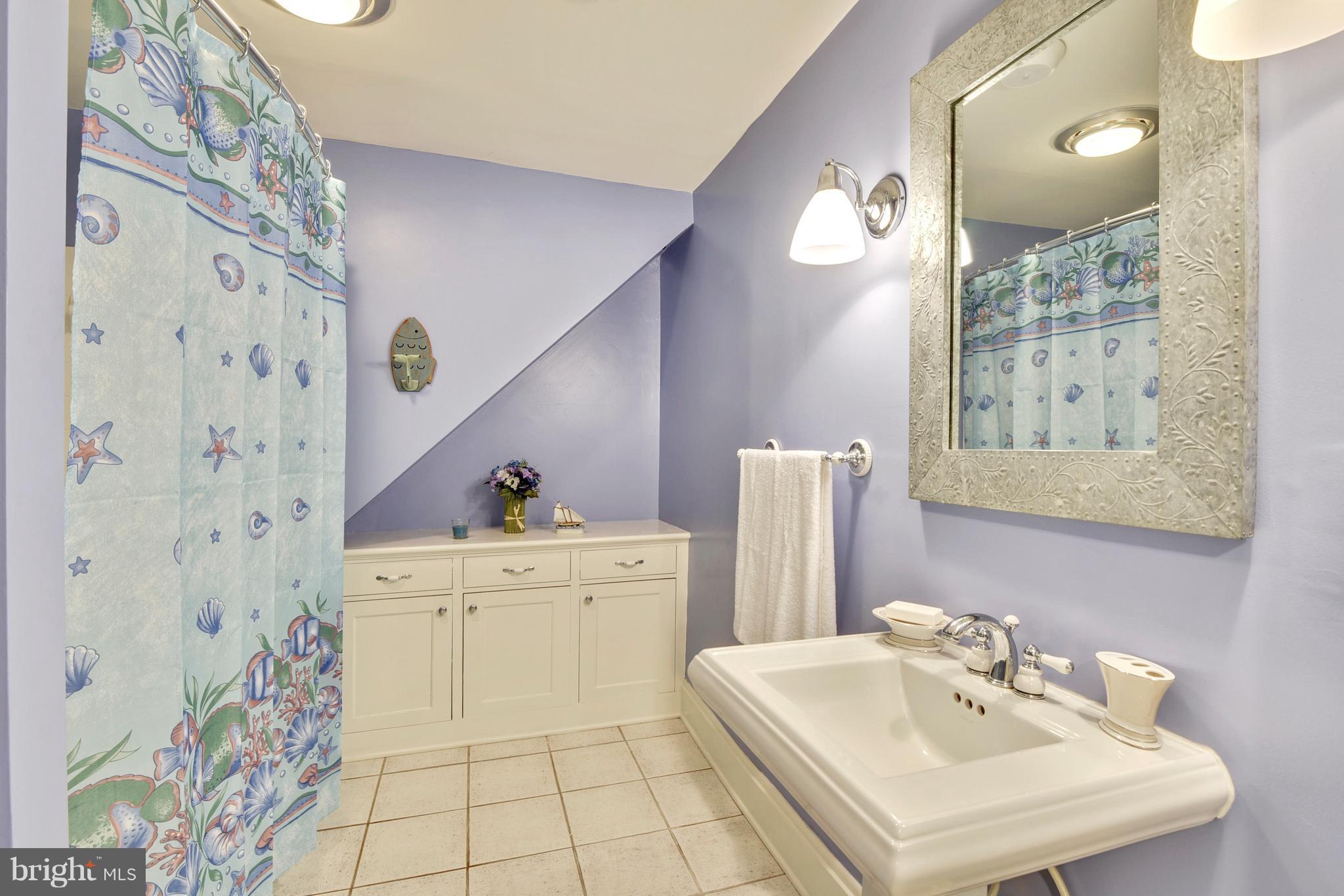 720 Red Cedar Road Annapolis, MD 21409 - Photo 22 of 30 a bathroom with a sink mirror and a bath tub