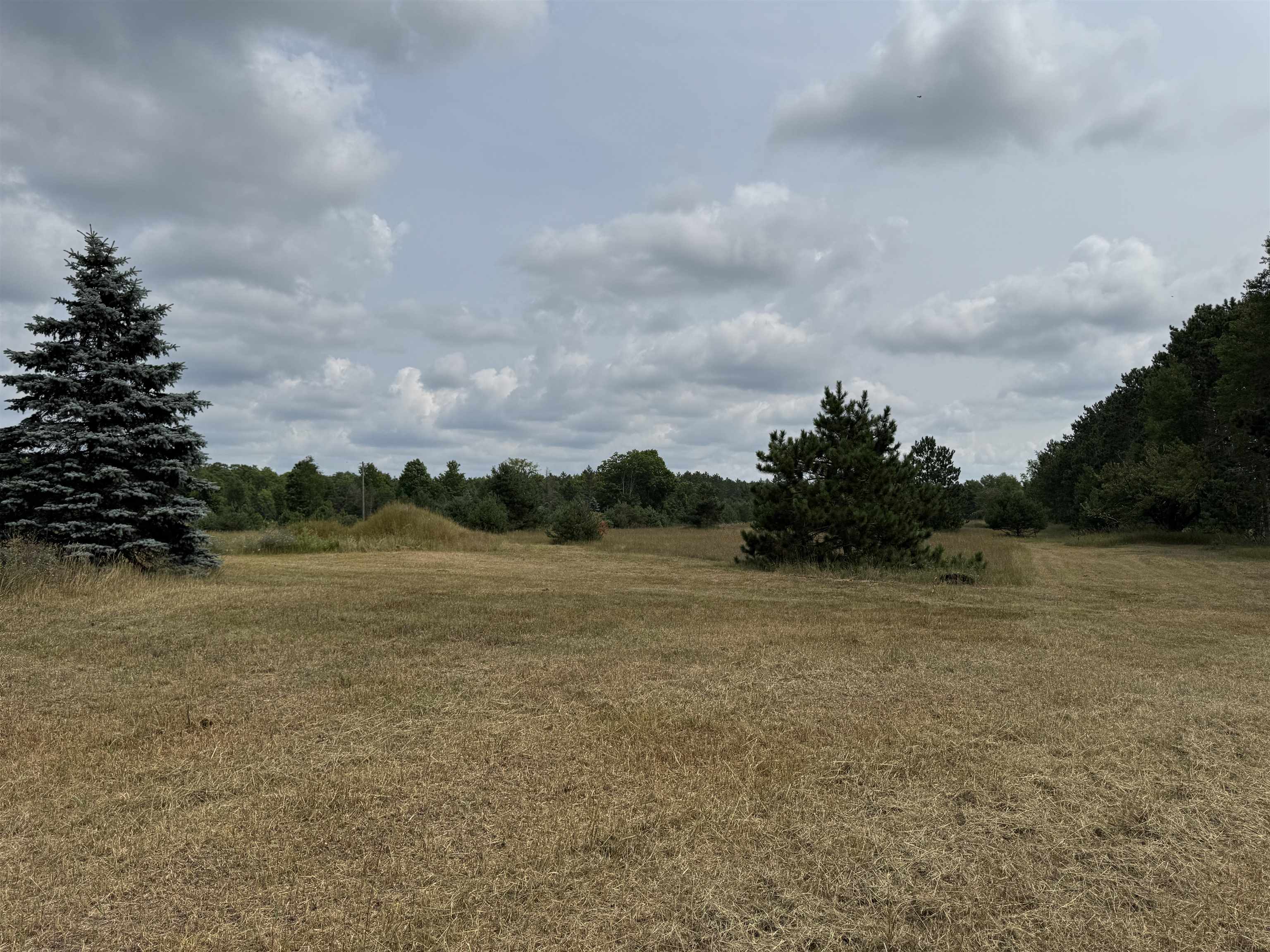 22015 Benton Road Copemish, MI 49625 - Photo 61 of 65 1949341-c987c6ac-9e31-495b-84ac-d2531558104d.JPG