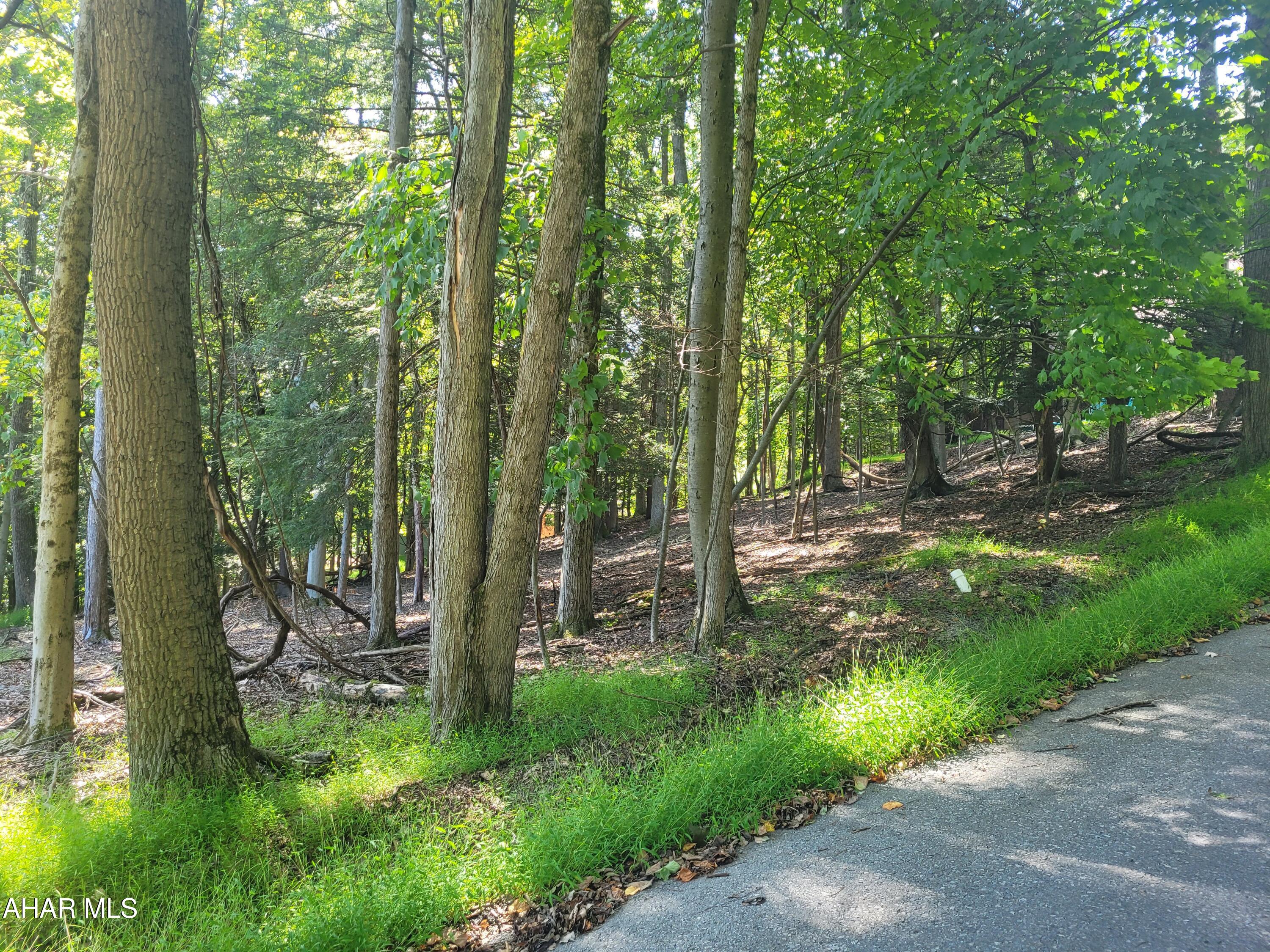 267 Turkey Ridge Road Flinton, PA 16640 - Photo 2 of 2 Gallery Image 2
