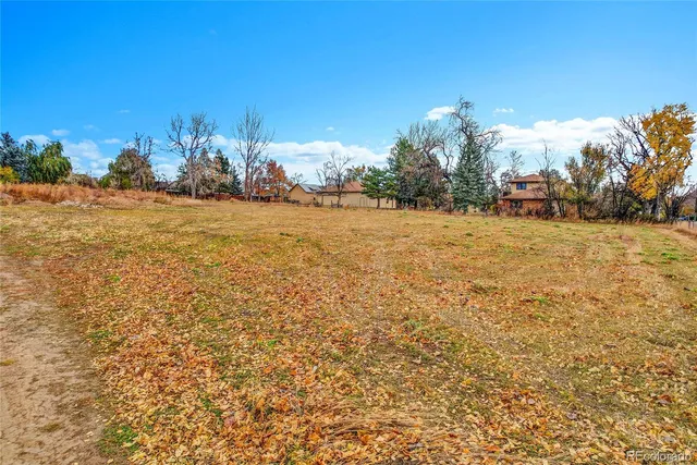 a view of large trees with an outdoor space