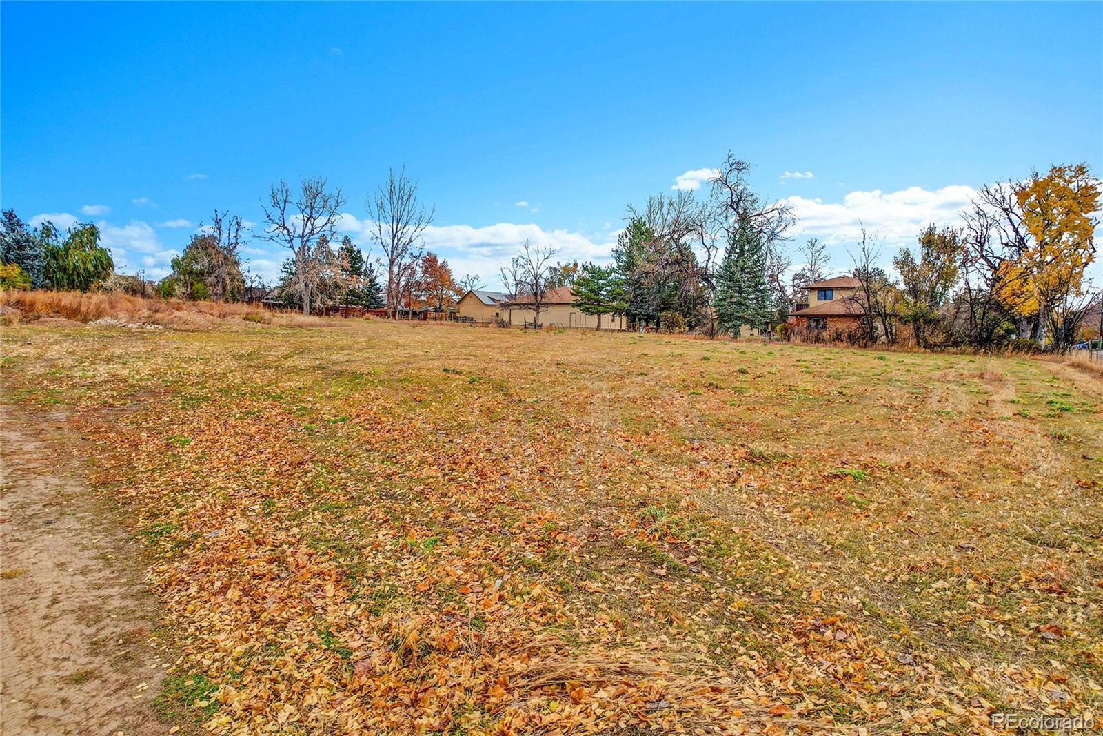 9909 West 70th Avenue Arvada, CO 80004 - Photo 9 of 23 a view of large trees with an outdoor space