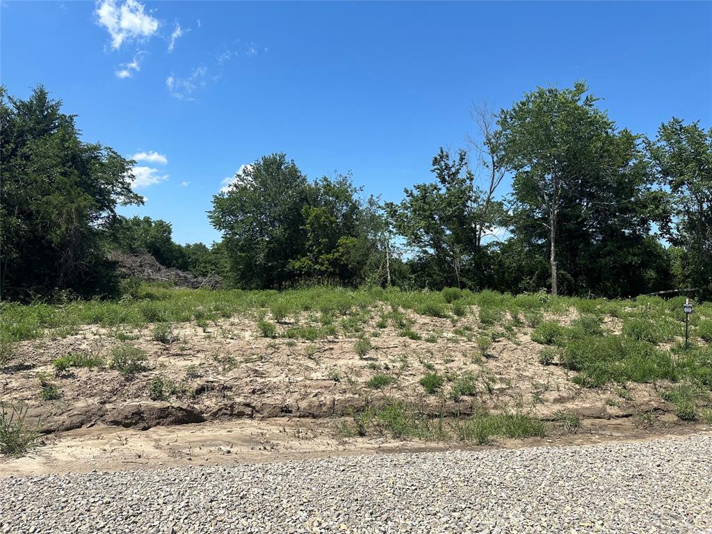 Lot 15 Co Road Farmersville, TX 75442 - Photo 2 of 7 Additional content